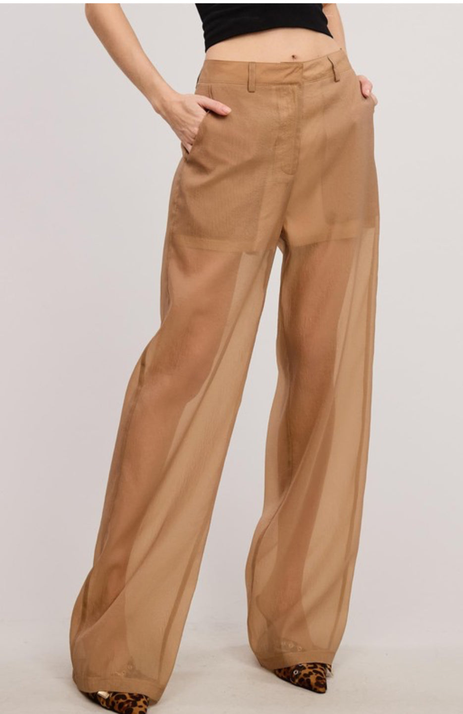 Sheer organza pants