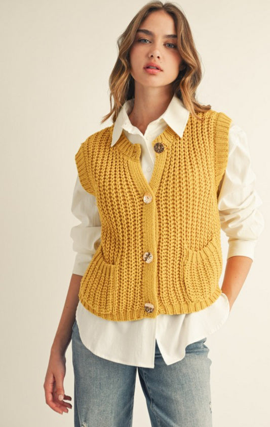 Comfty Sweater Vest