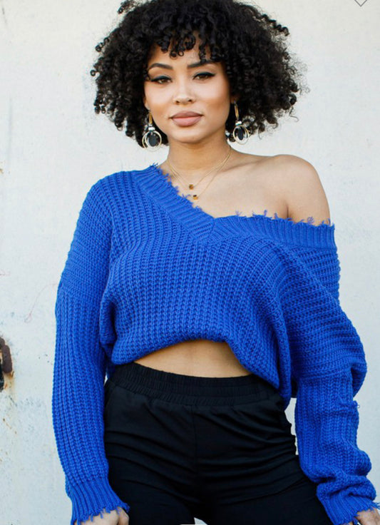 Blueberry sweater